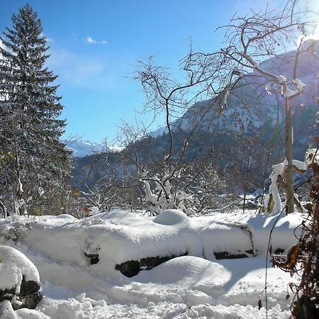 Dunkel Blaue Maus Bed & Breakfast Meiringen Luaran gambar