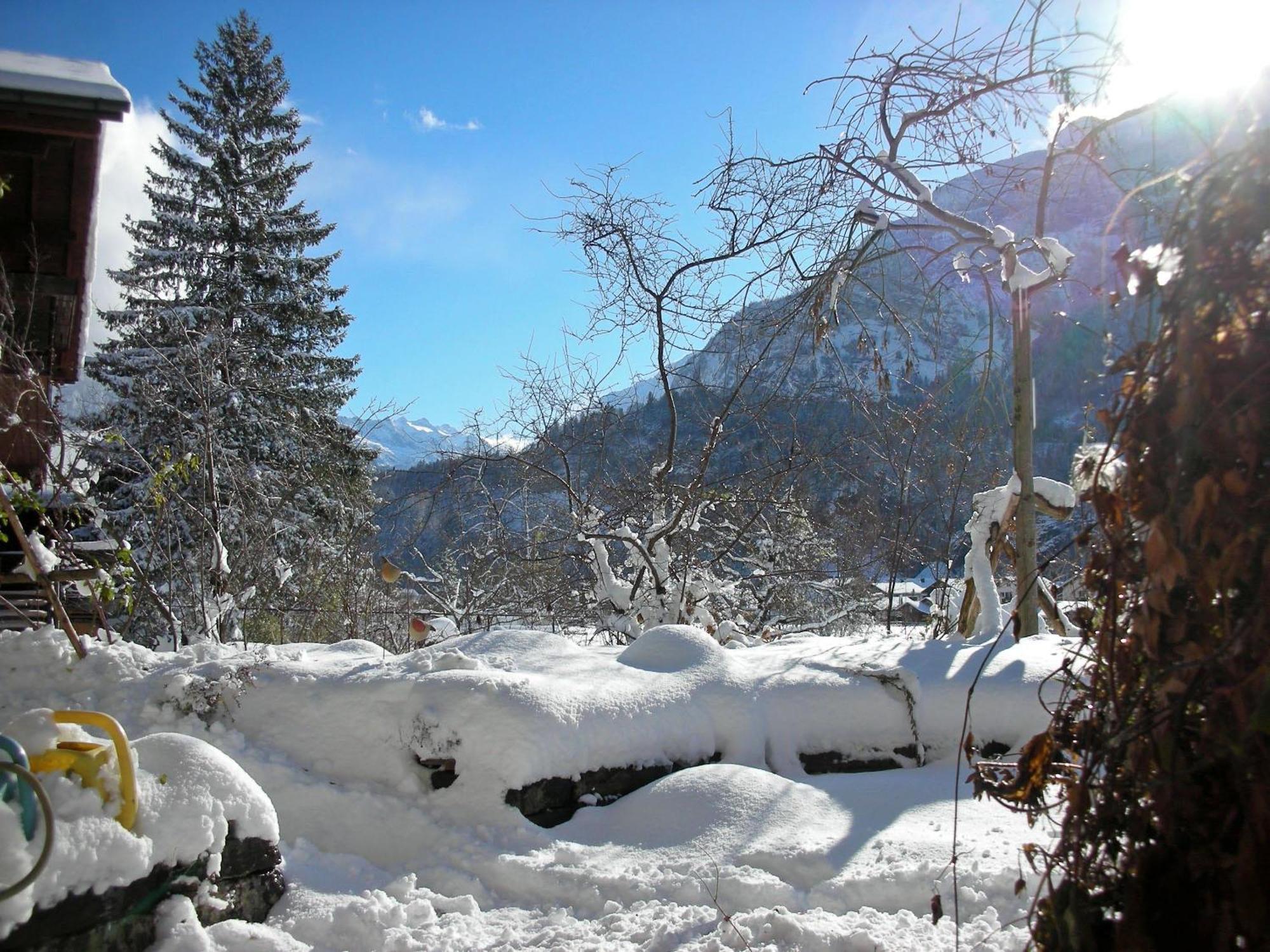 Dunkel Blaue Maus Bed & Breakfast Meiringen Luaran gambar