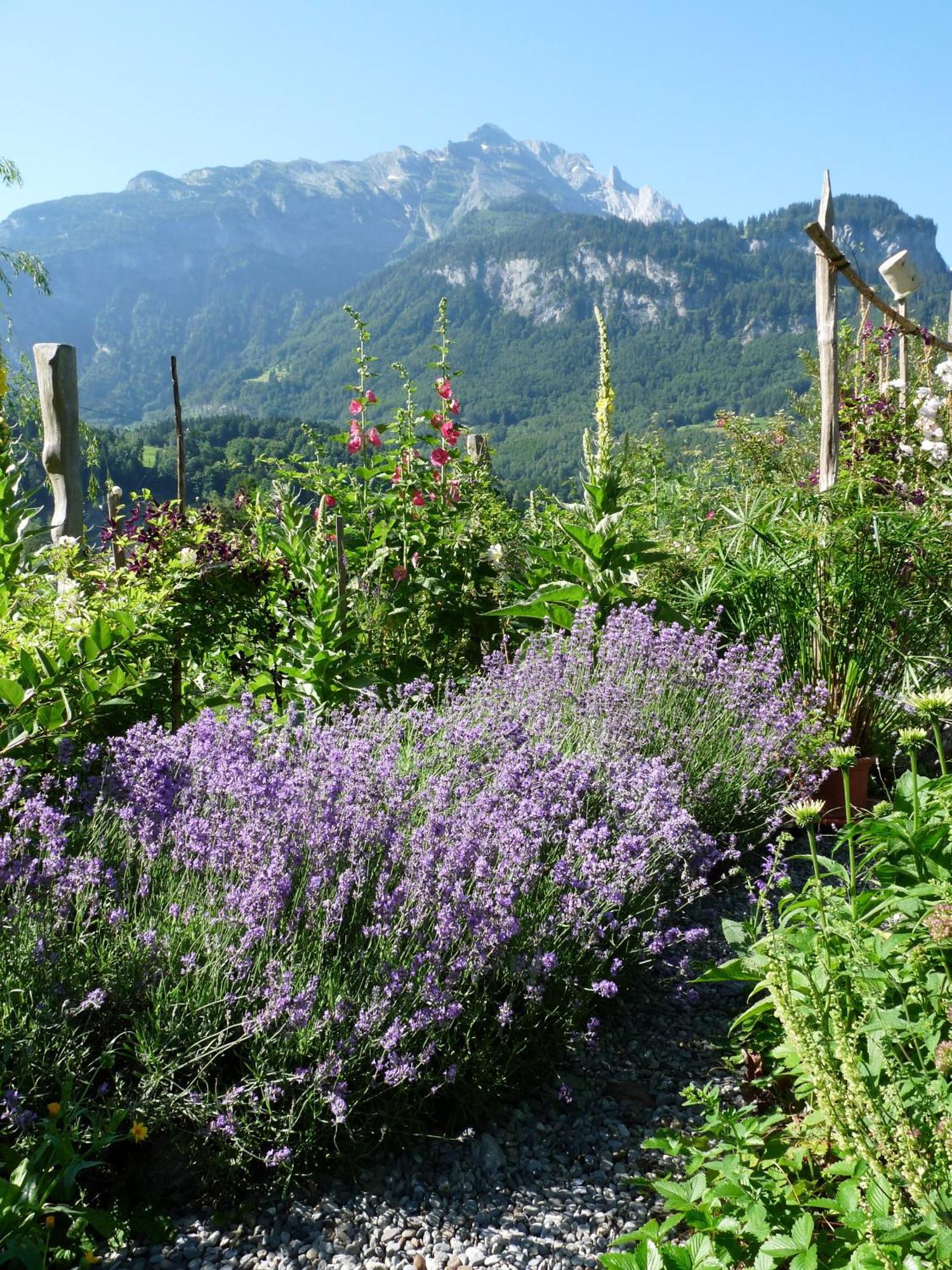 Dunkel Blaue Maus Bed & Breakfast Meiringen Luaran gambar