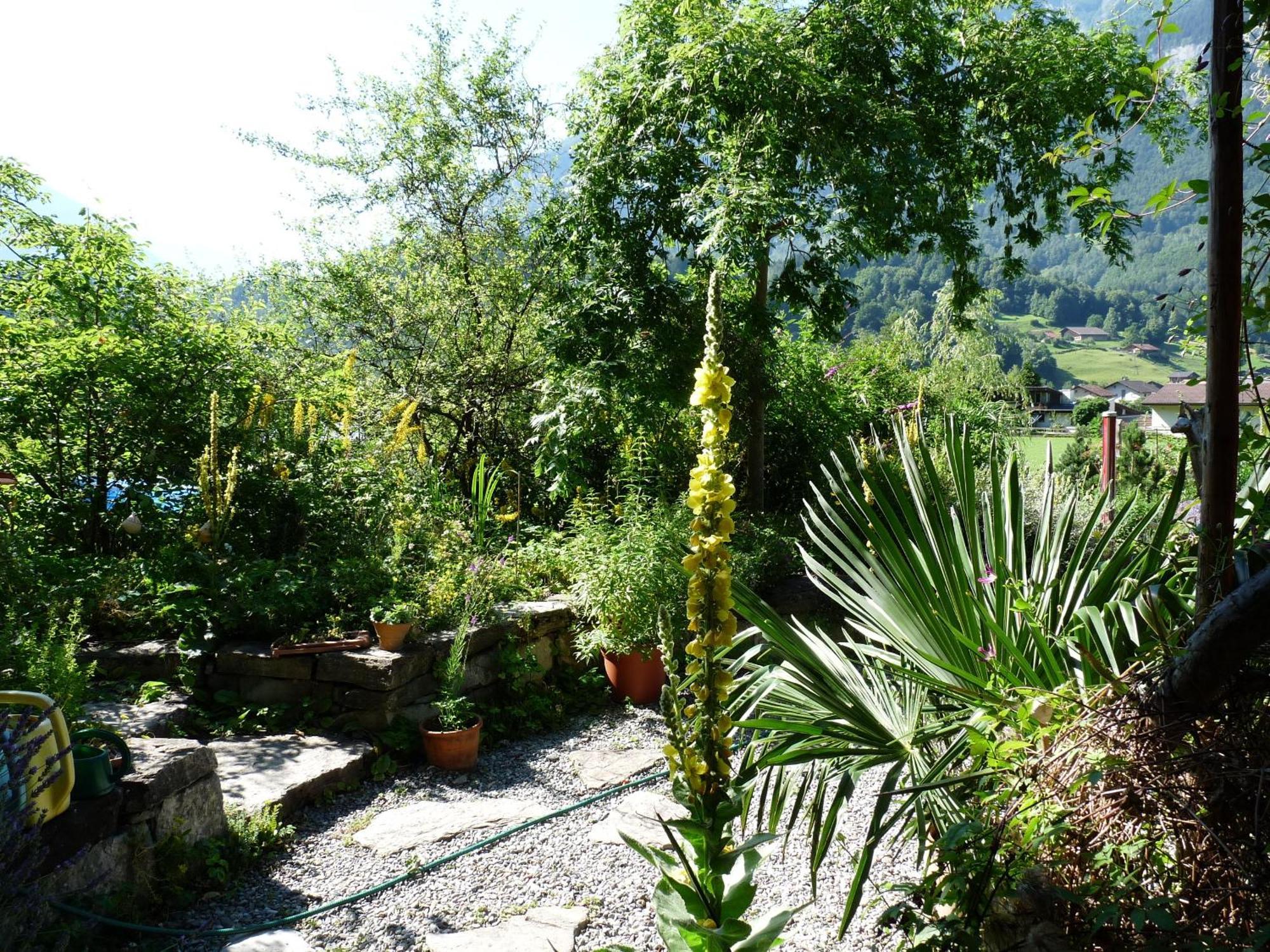 Dunkel Blaue Maus Bed & Breakfast Meiringen Luaran gambar