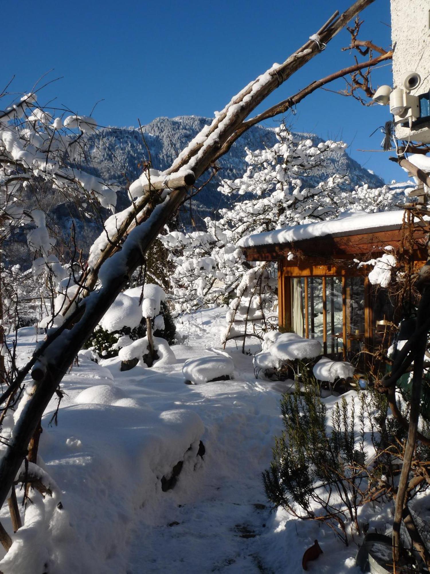 Dunkel Blaue Maus Bed & Breakfast Meiringen Luaran gambar