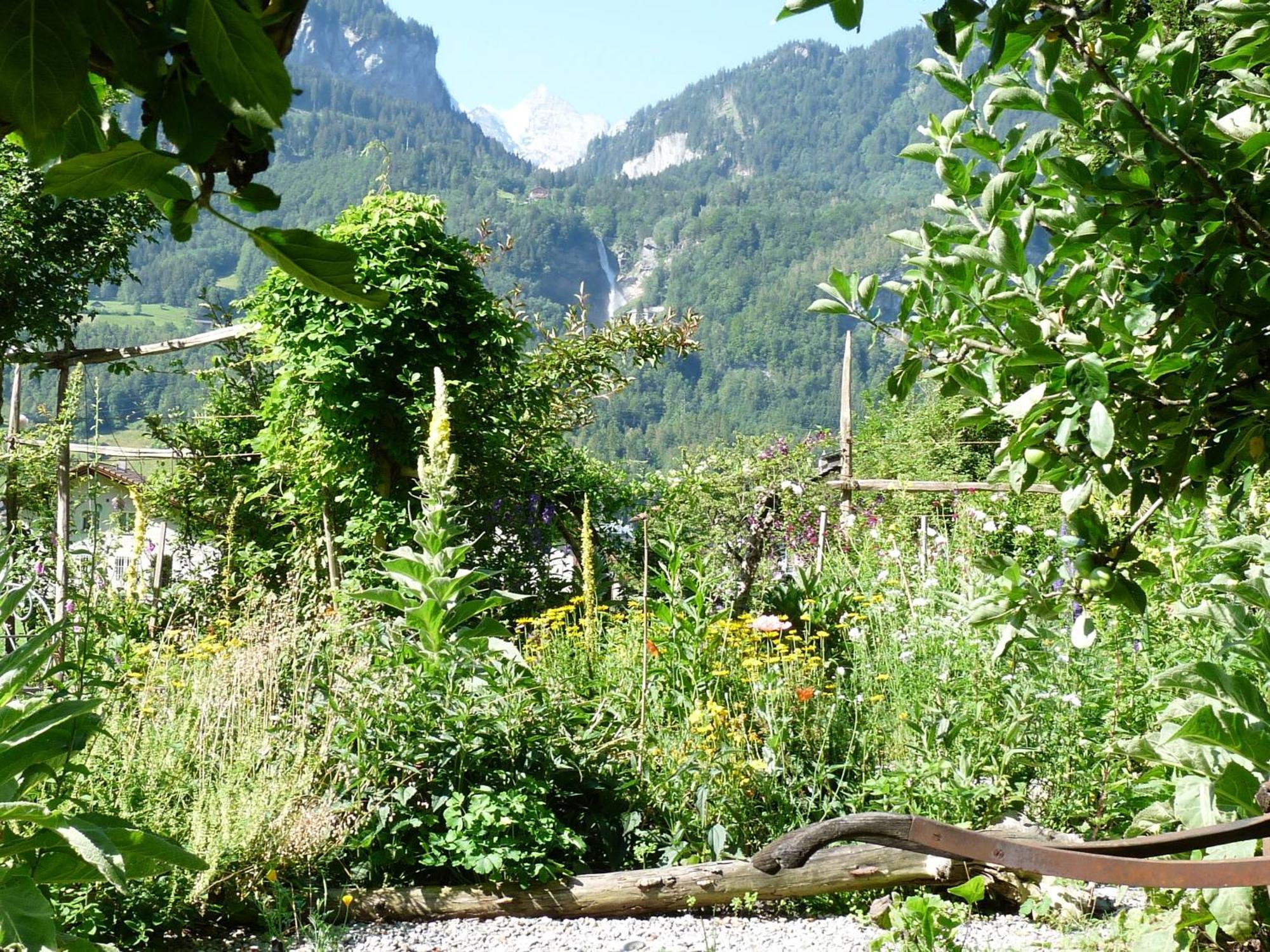 Dunkel Blaue Maus Bed & Breakfast Meiringen Luaran gambar