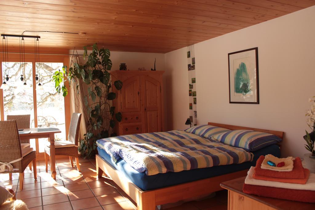 Dunkel Blaue Maus Bed & Breakfast Meiringen Luaran gambar
